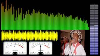 Gaiteros de San Jacinto - Animalito del Monte [Spectrum Analyzer]