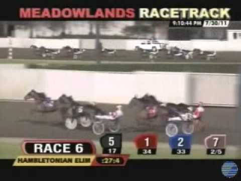 Hambletonian 2nd Heat 2011 -Manofmanymissions