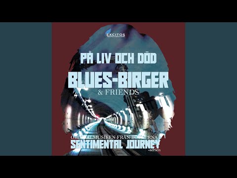 Låt Mig Va Ifred - Blues Birger & Friends