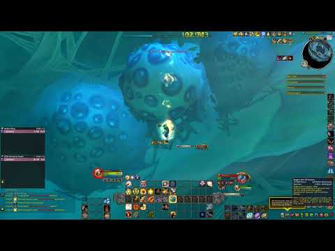 Sennarth Raid Boss Solo Gewölbe der Inkarnationen