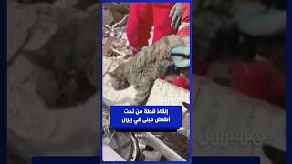 رجال الإنقاذ ينتشلون قطة من تحت الأنقاض بعد غارات جوية في إيران thumbnail