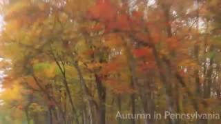 Fall Foliage in Pennsylvania - Driving On Highways