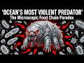 The Ocean's Most Violent Predator Isn't What You Think DEFAULT Thumbnail