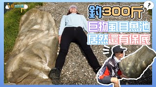 【釣蝦小益思】狂釣300斤  巨物虱目魚池  居然還有保底10隻  終於遇見女神啦 FT.采蓁  #釣蝦 #i呀我的蛋 #新聞 #主播 Shrimpfishing  エビ釣り  새우 낚시