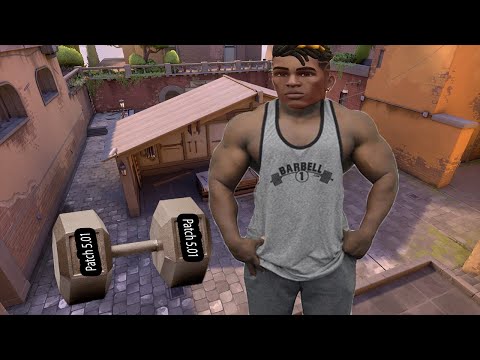 New Phoenix Buffs are INSANE