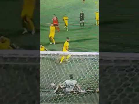 L.ARAUJO #futebol #flamengo #reforcos #brusquesc #palmeirasxvasco #palmeiras #libertador #paysandu