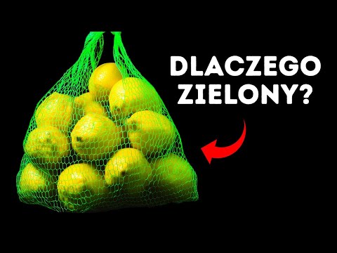 Ponad 101 faktów, dzięki którym TY staniesz się najbardziej interesującą osobą w pokoju