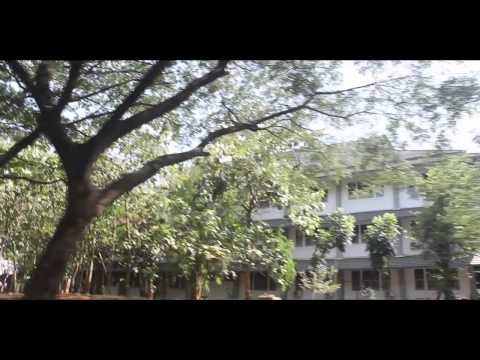 URL2015’s Video 122167641841 9D6AktKzh20