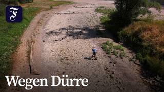 Niedrigwasser lässt Ahr-Zufluss in den Rhein versiegen