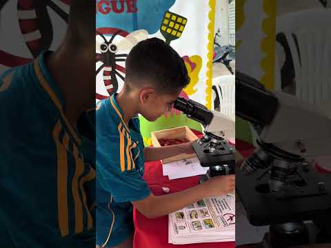 Dia D Minas de combate às arboviroses 2026