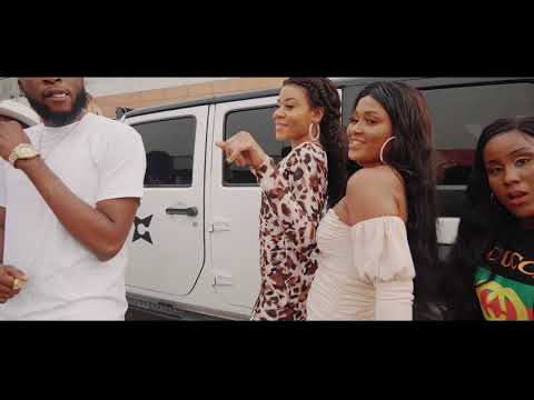 HARRY B X SLIM BROWN - PEDIGREE [OFFICIAL VIDEO]