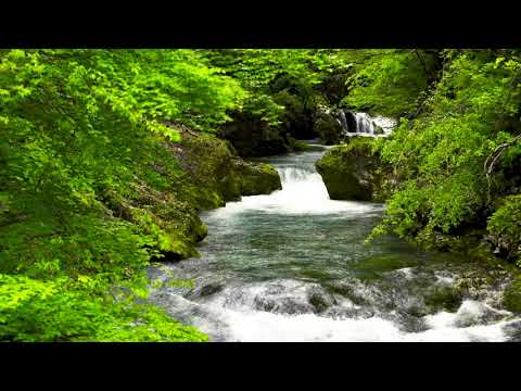 Fresh Water Flowing in the River & Waterfall, Nature Sounds. Mountain Stream, White Noise for Sleep.
