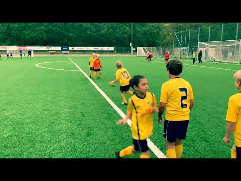 Raman - ösetsbk vs IF väster