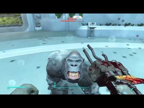Unedited footage of Harambe: Fallout 4
