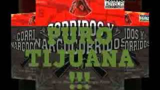 BUCHANAS CERVEZA Y BANDA - EL KOMANDER