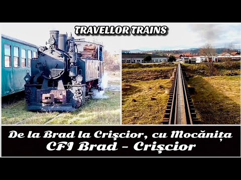 De la Brad la Crișcior, cu Mocănița (CFI Brad - Crișcior) [Back-view]