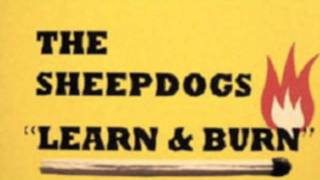 The Sheepdogs - Please Don&#39;t Lead Me On