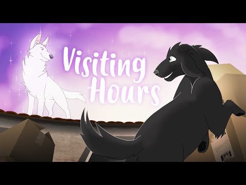 🐕PERRALUNA PMV🐕 - Visiting Hours - Perro & Plateado (Ed Sheeran - Musikvideo)