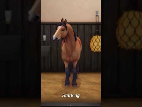 I bought 79 horses…. 😭 #sso #starstable #starstableonlinehorses #starstableonline