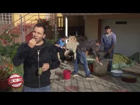 download lagu mp3 mp4 Esti Roman, download lagu Esti Roman gratis, unduh video klip Esti Roman