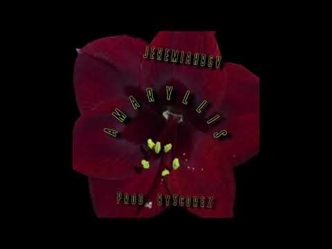Jeremiahbgv - Amaryllis