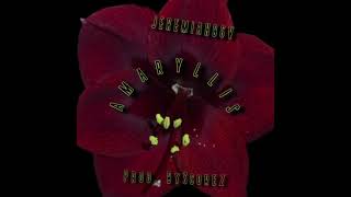 Amaryllis Music Video