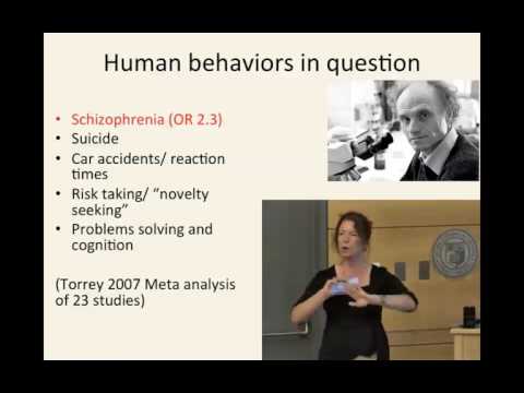 Toxoplasmosis: Truth, Fiction, and Crazy Cat Ladies? 13. Toxoplasmosis in the news