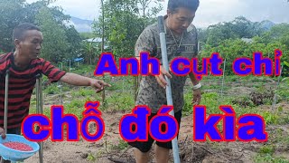 Anh cụt chỉ chỗ đó kìa