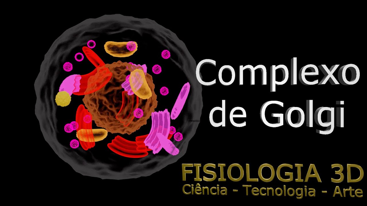 Aula8 - Complexo de Golgi (Sistema de empacotamento de proteínas para exportação).
