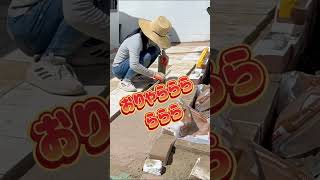 庭のDIY アメリカ築70年の家