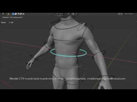 Muscle Simulation : Blender 2 93 muscle tools : Carlos Maldonado