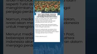 Indonesia Dimungkinkan Diterima Israel jadi Penjaga Perdamaian di Gaza