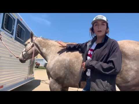 Saddle Pad Placement Tips