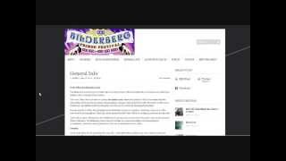 Bilderberg Fringe Festival 2013 - Controlled Opposition?