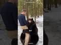 How To Survive A Bear Attack