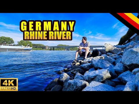 Rhine River Germany | Germany Walking Tour | Germany 4k
