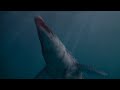 Dinoshark 2010 Clip Rita S Last Swim