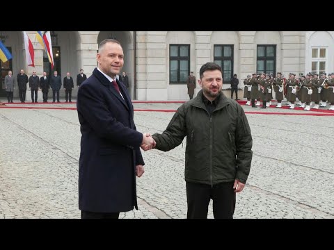 Video | Polish President Nawrocki meets with Ukraine's Zelensky in Warsaw | AFP