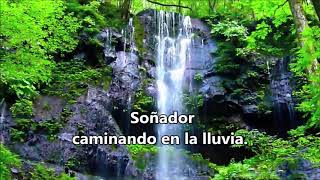 david cassidy daydreamer subtitulada