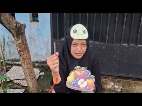 monkeys and turtles l English Kelompok 4