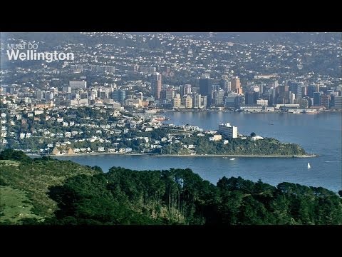 Must do Wellington - Things to do