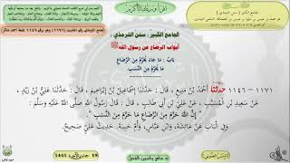 صورة شرح الجامع الكبير : باب ماجاء يحرم من الرضاع مايحرم من النسب - الحديث 1171 // د. ماهر ياسين الفحل