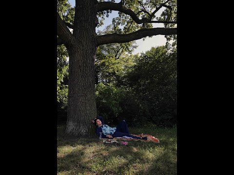 Christiane Rösinger - Leben im Liegen // Audioflyer