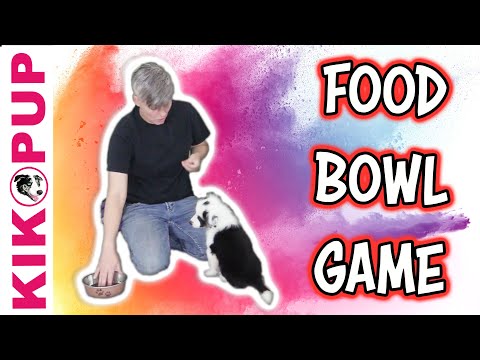 STOP UNWANTED behaviors with BACK UP