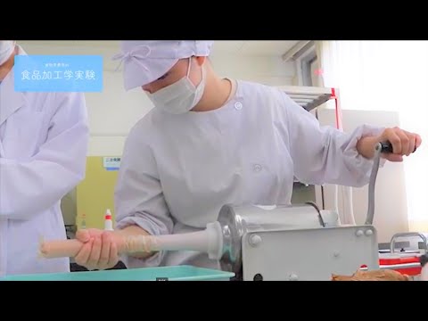 管理栄養士をめざす授業｜食品加工学実験｜千里金蘭大学食物栄養学科