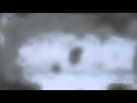 Zeitraffer 2014.01.24 Pulsnitz-Panorama