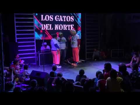 TARIMA DE LA ALEGRÍA 2018 - SHOW DE LOS GATOS DEL NORTE