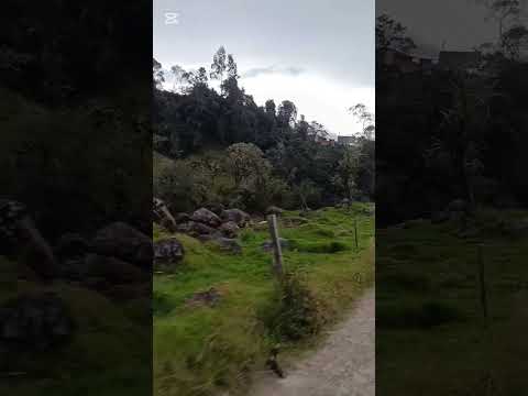 vereda de potreritos  chitaga norte de Santander Colombia 🇨🇴
