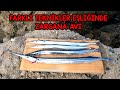 ZARGANA AVI TEKNİKLERİ İPEK İLE ZARGANA AVI ANTEN İLE ZARGANA AVI YEMLİ ZARGANA AVI