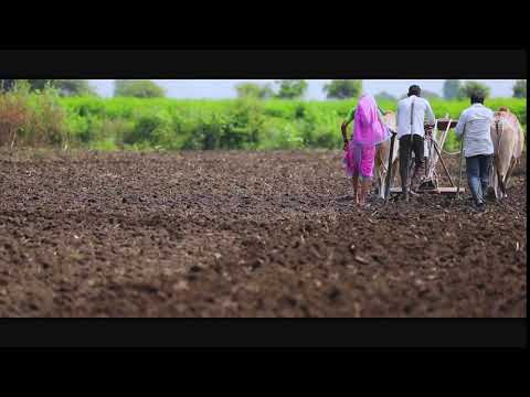 Free Stock Footage 2 #indian Farmer royalty Free Stock Video Footage 🔥